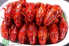 吃小龍蝦可以喝紅酒嗎？紅酒和龍蝦能一起吃嗎？