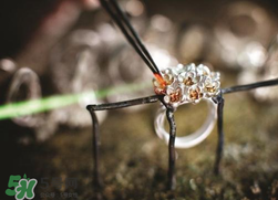 潘多拉2017春季新品好看嗎？pandora2017春季新款珠寶怎么樣？