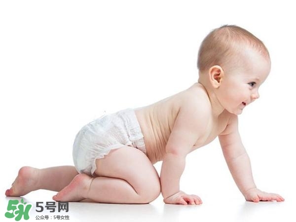 不會爬的寶寶不聰明嗎 寶寶不會爬是笨的表現嗎