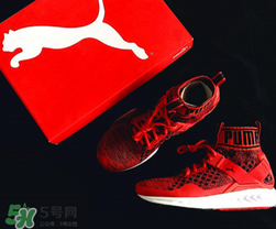 puma襪子鞋尺碼怎么選？彪馬襪套鞋尺碼對照表
