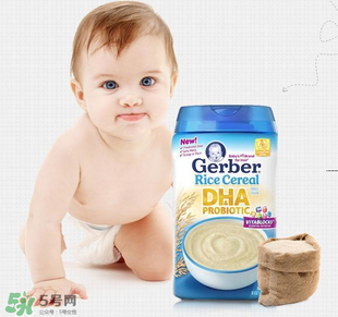 嘉寶dha米粉含鐵嗎？ 嘉寶dha米粉含鐵量多少？