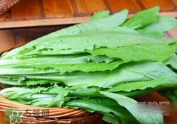 油麥菜糖尿病能吃嗎？糖尿病能吃油麥菜嗎？