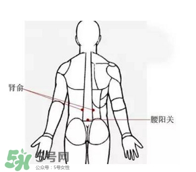 艾灸能減肥嗎？艾灸能不能減肥