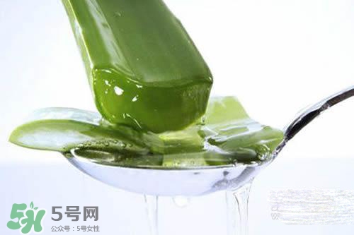 黃瓜水和蘆薈水哪個好？黃瓜水和蘆薈水功效區(qū)別