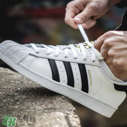 adidas貝殼頭正品多少錢？阿迪達斯貝殼頭鞋專柜價格