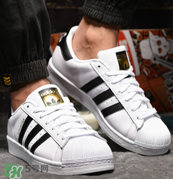 adidas貝殼頭正品多少錢？阿迪達斯貝殼頭鞋專柜價格
