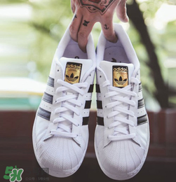 adidas貝殼頭正品多少錢？阿迪達斯貝殼頭鞋專柜價格