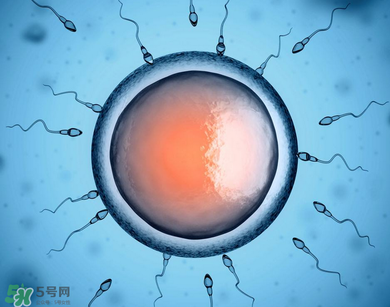 捐20顆卵子會怎么樣？捐20顆卵子有什么后果？