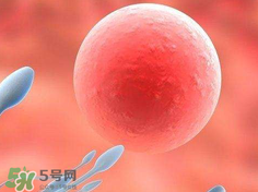 捐20顆卵子會怎么樣？捐20顆卵子有什么后果？