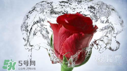 黃瓜水和玫瑰水哪個(gè)好？黃瓜水和玫瑰水區(qū)別