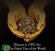 twg茶哪個最經(jīng)典？twg茶葉哪個好喝？