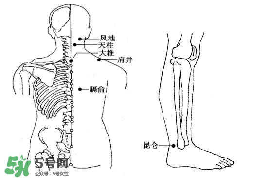 刮痧能治頸椎病嗎？頸椎病刮痧正確圖片