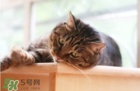 為什么身體總是覺得累？總是覺得累是怎么回事