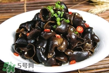 黑木耳是菌類的嗎？黑木耳屬于菌類嗎？