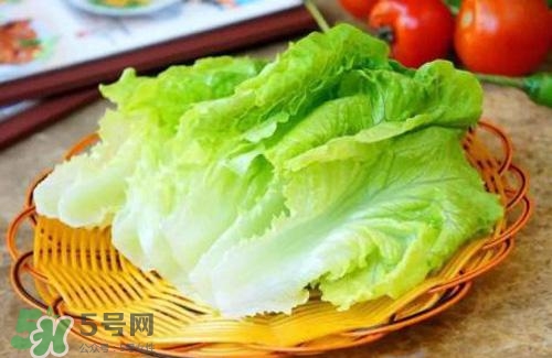生菜可以放冰箱嗎？生菜可以放冰箱多久？