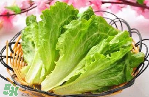 生菜可以放冰箱嗎？生菜可以放冰箱多久？