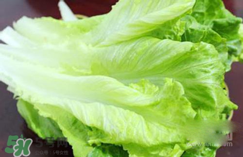 生菜可以放冰箱嗎？生菜可以放冰箱多久？