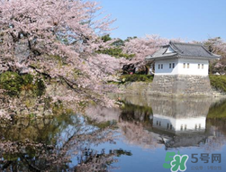 5月份去日本穿什么？五月份去日本穿什么衣服？