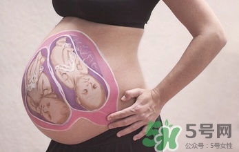 妊娠線看可以看胎兒性別嗎？妊娠線看可以男女嗎？