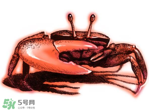 五月份可以吃螃蟹嗎？5月份可以吃螃蟹嗎？