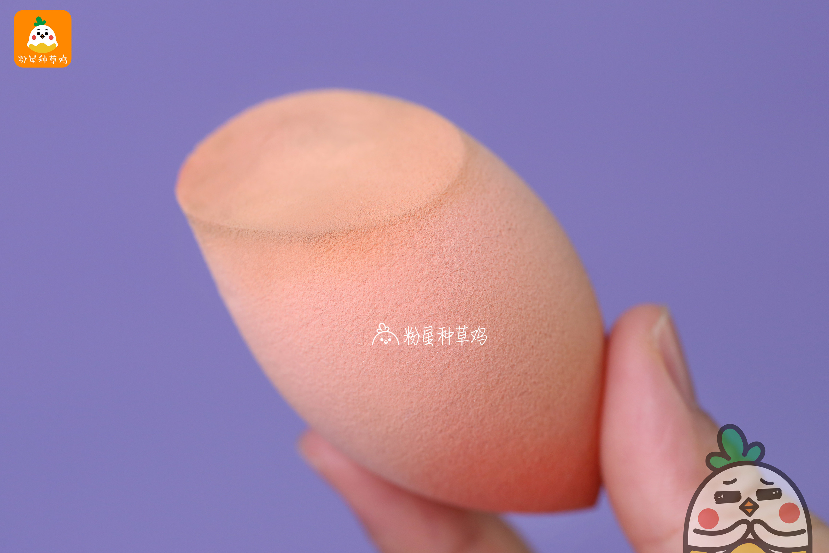 beauty blender美妝蛋和rt美妝蛋哪個(gè)好？