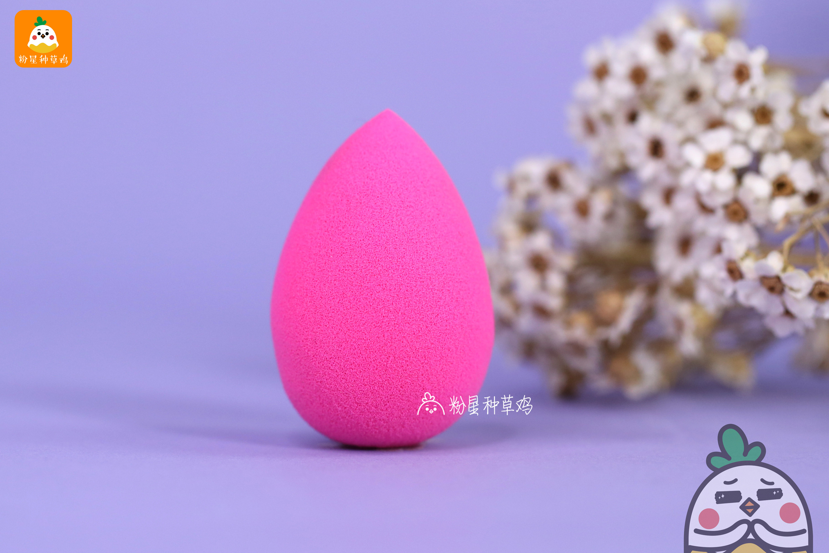 beauty blender美妝蛋和rt美妝蛋哪個(gè)好？