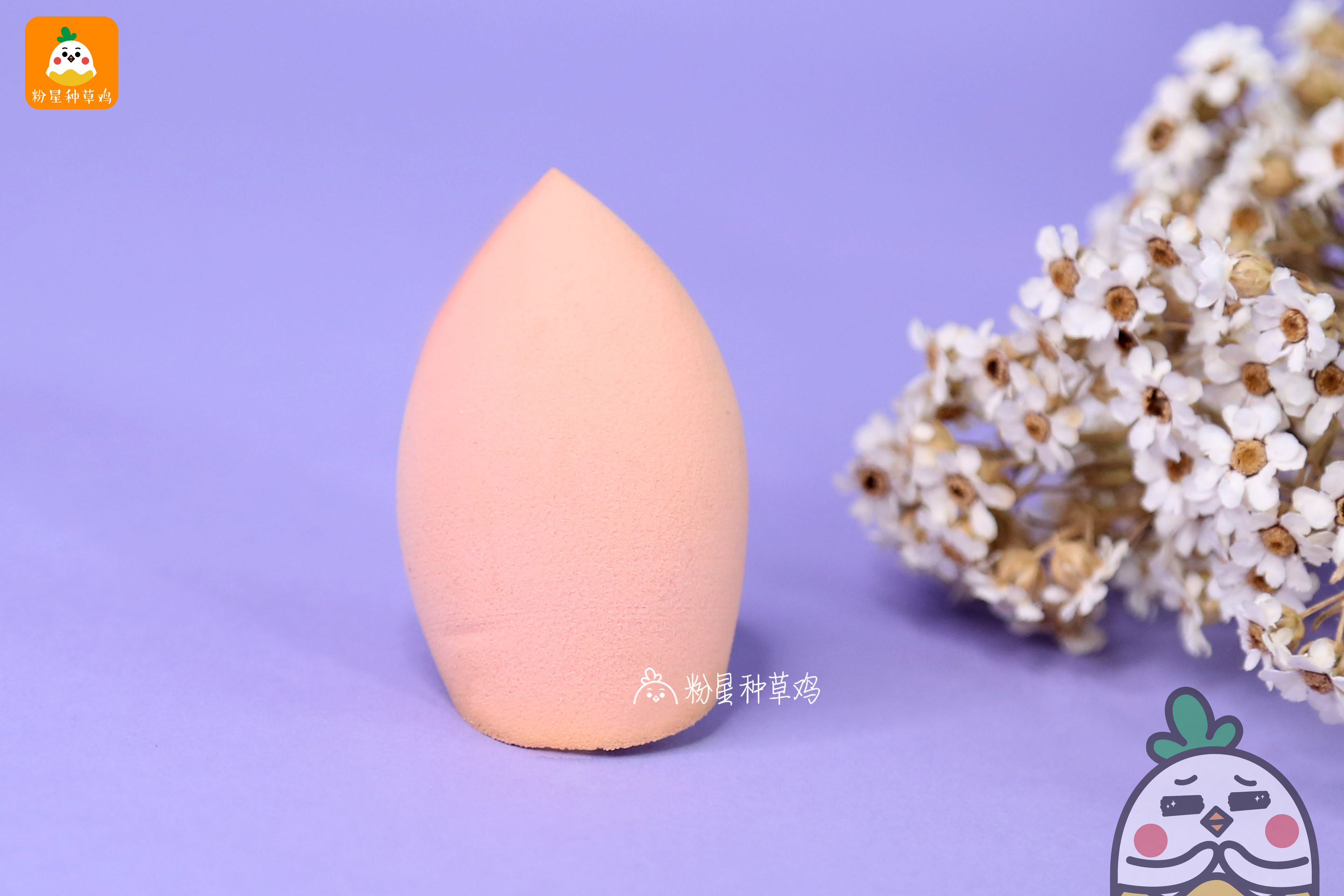 beauty blender美妝蛋和rt美妝蛋哪個(gè)好？