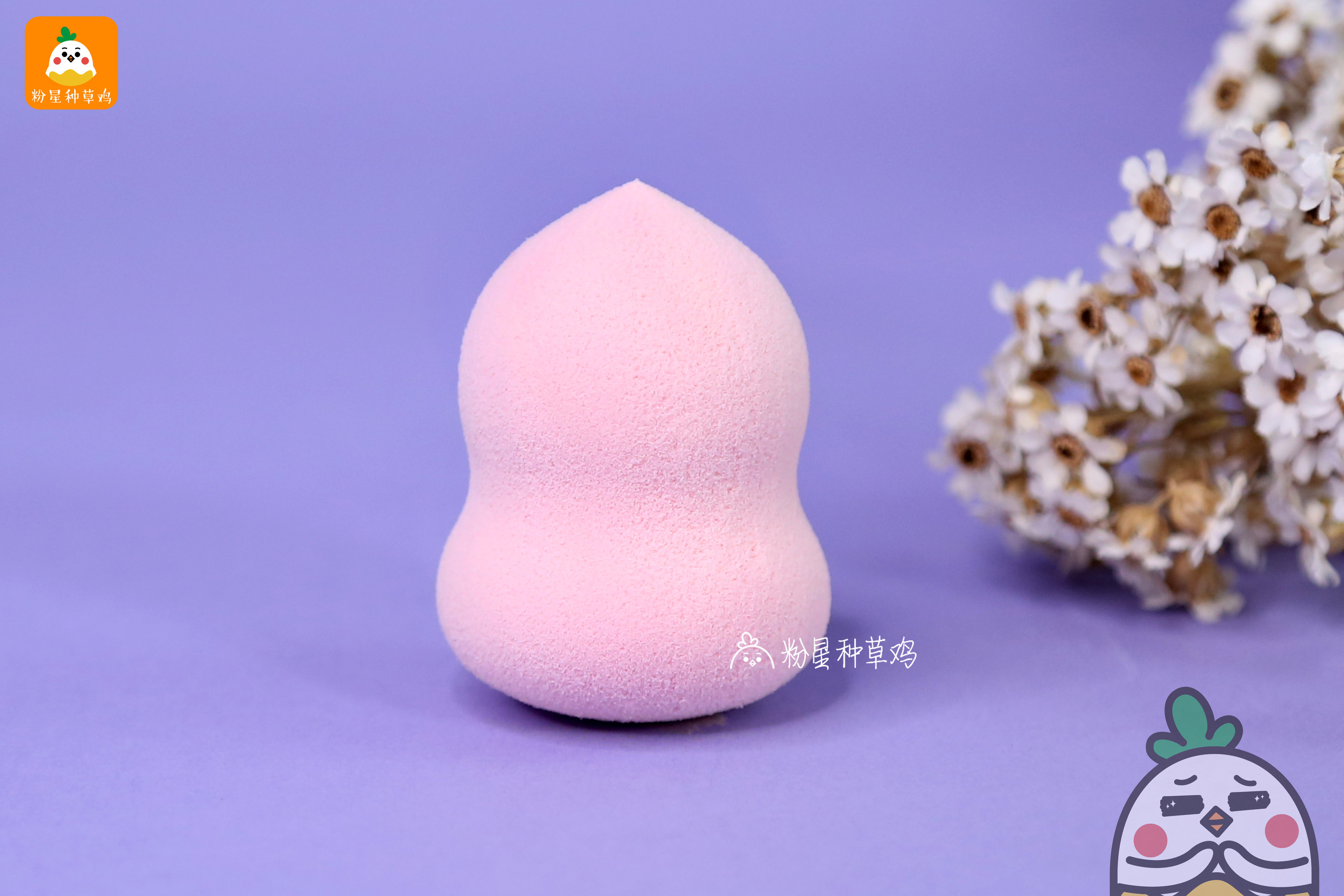 beauty blender美妝蛋和rt美妝蛋哪個(gè)好？