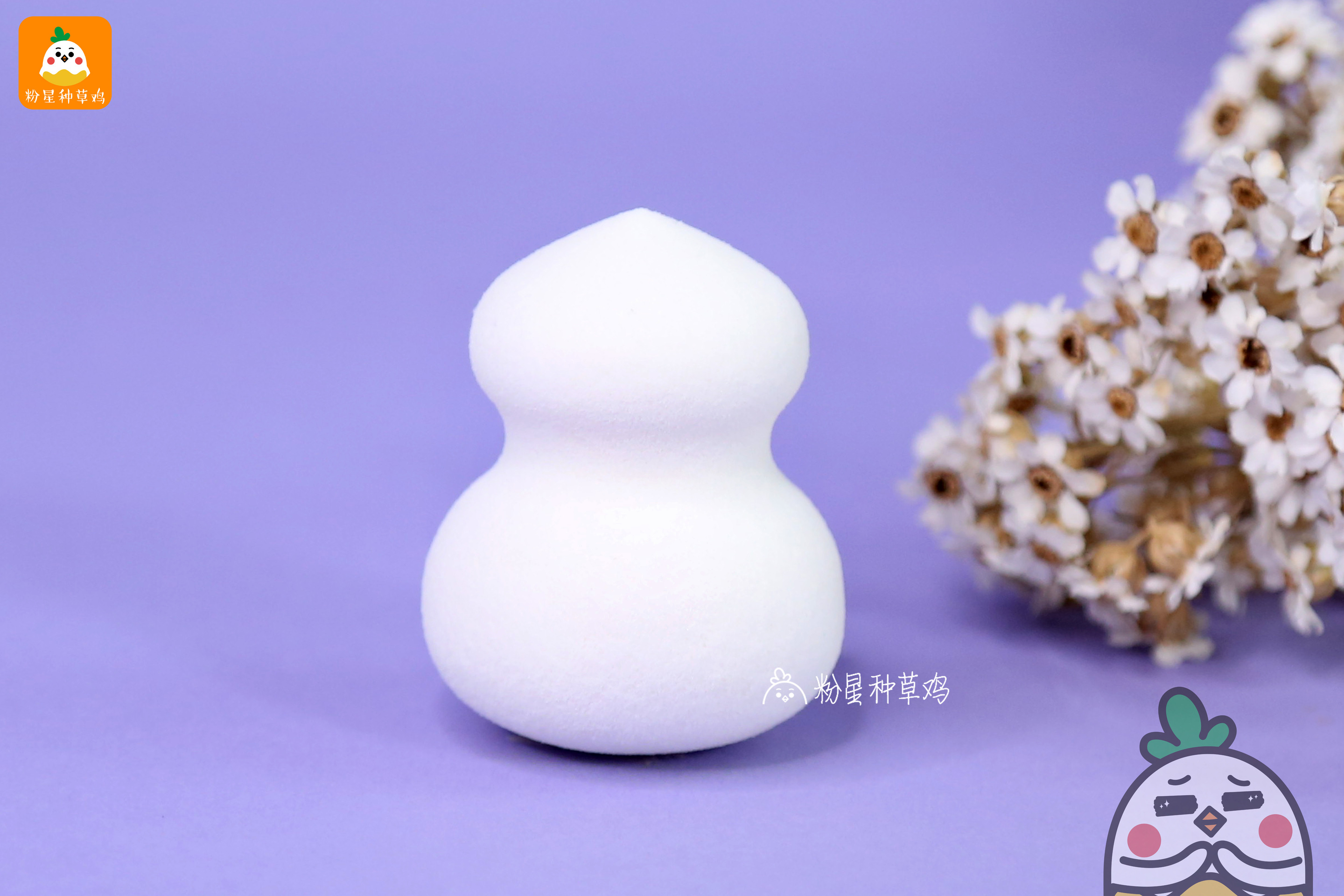 beauty blender美妝蛋和rt美妝蛋哪個(gè)好？