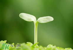甲醛檢測(cè)儀哪個(gè)牌子好？哪個(gè)牌子的甲醛檢測(cè)儀好？