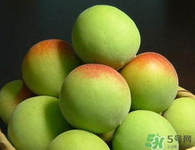 青梅什么時(shí)候成熟？青梅幾月份成熟？