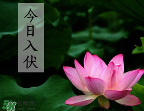 2017年頭伏是哪一天？2017年什么時候入伏？