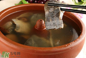 懷孕初期能吃甲魚嗎？懷孕初期可以吃甲魚嗎？