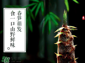 春筍多少錢一斤？春筍多少錢一斤2017？