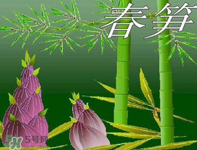 春筍多少錢一斤？春筍多少錢一斤2017？