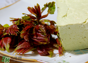 香椿為什么會(huì)苦？香椿苦味怎么回事？