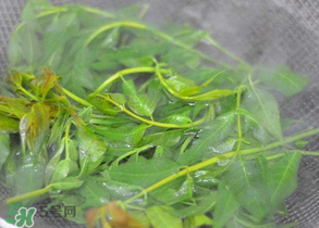 香椿為什么要焯水？香椿怎么焯水？