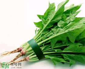 孕婦可以吃菠菜嗎？孕婦菠菜吃多了會怎樣？