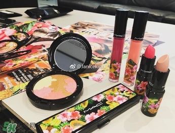 mac2017夏季fruity juicy系列有哪些？