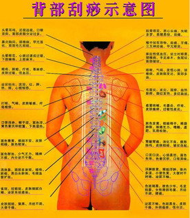 背部怎么刮痧視頻？背部刮痧手法視頻