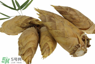 竹筍什么時候長出來？竹筍幾月份長出來？