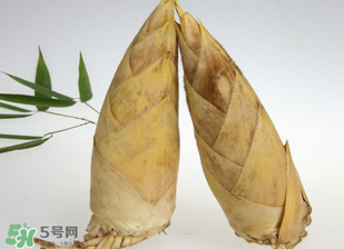 竹筍什么時候長出來？竹筍幾月份長出來？