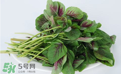 孕婦能吃莧菜嗎？孕婦可以吃莧菜嗎？