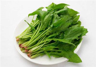孕婦可以吃菠菜嗎？孕婦菠菜吃多了會怎樣？