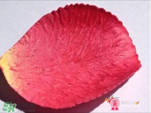 拉杜麗花瓣腮紅多少錢 拉杜麗花瓣腮紅專柜價(jià)格 拉杜麗花瓣腮紅多少錢 拉杜麗花瓣腮紅專柜價(jià)格