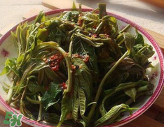 香椿要過水嗎？香椿怎么過水？