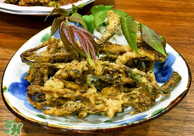 香椿什么時(shí)候吃？香椿什么時(shí)候不能吃？