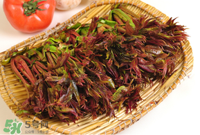 香椿什么時(shí)候吃？香椿什么時(shí)候不能吃？