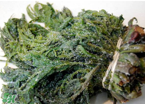 香椿腌制多久可以吃？香椿腌多長(zhǎng)時(shí)間能吃？