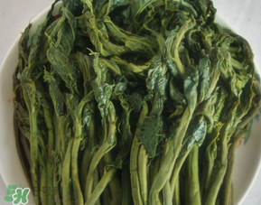 香椿腌制多久可以吃？香椿腌多長(zhǎng)時(shí)間能吃？